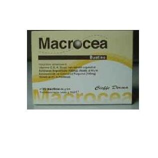 MACROCEA 20 BUSTINE
