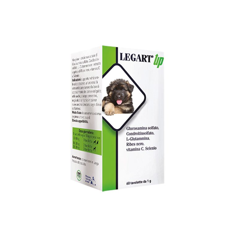 legart up 60 compresse da 1 g