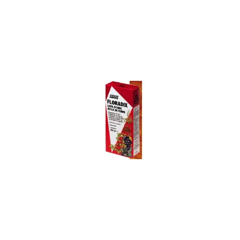 floradix ferro e vitamine 500 ml