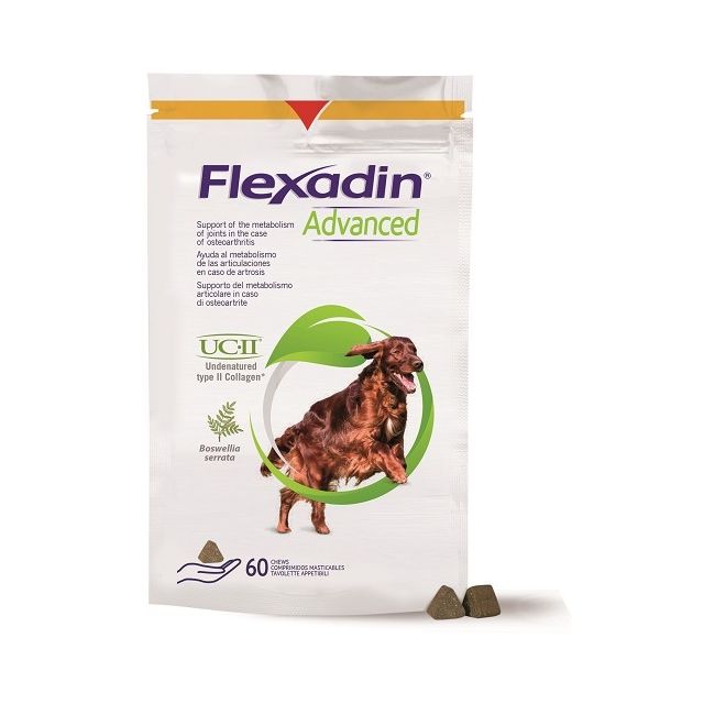 flexadin-advanced-cane-tutte-le-taglie-60-tavolette-appetibili