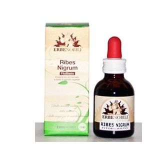FITOBLASTO RIBES NIGRUM 50 ML