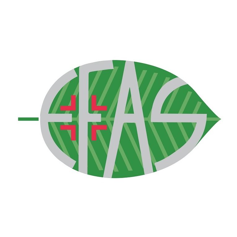 ha100 acido ialuronico 100% 30 ml