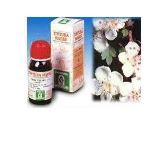 BIANCOSPINO 10 50ML TM
