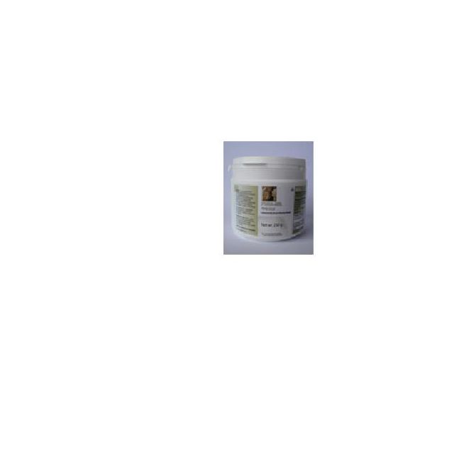 poria-mycology-research-laboratories-90-compresse