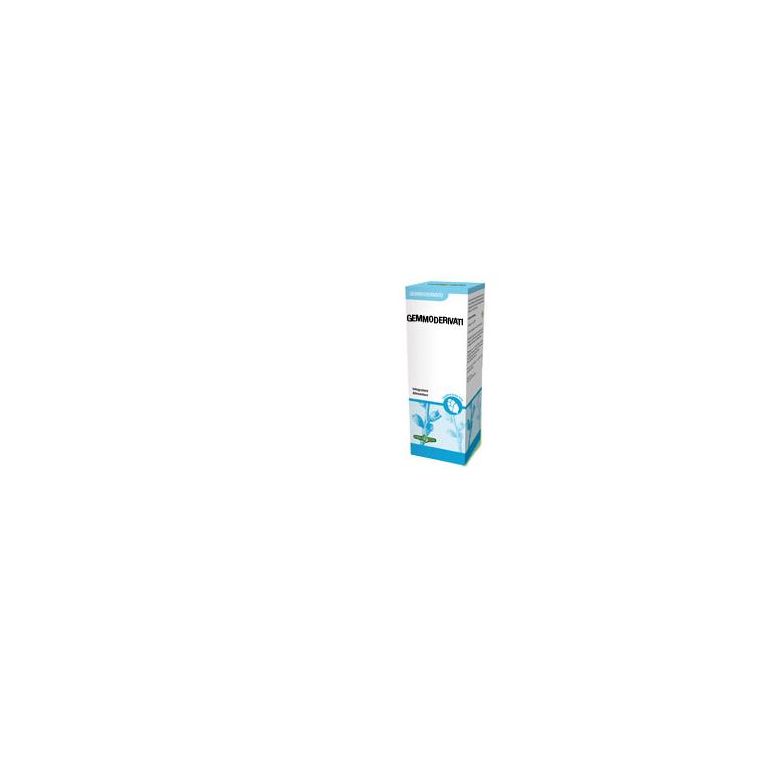gemmoderivato fico 50 ml