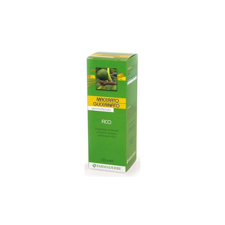 macerato glicerico fico gemme ficus carica 100 ml