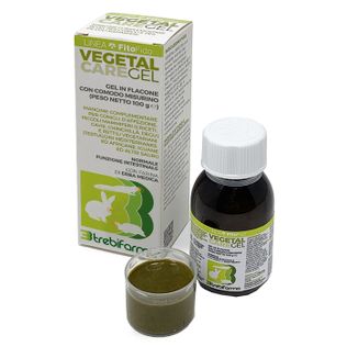 VEGETAL CARE GEL FLACONE 100 G