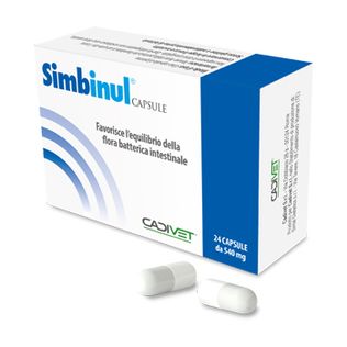 SIMBINUL 24 CAPSULE