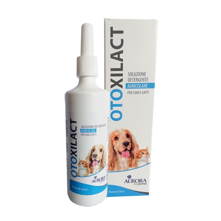 otoxilact detergente auricolare