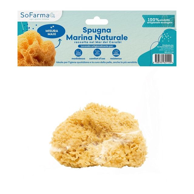 spugna-marina-naturale-maxi-sofarmapiu