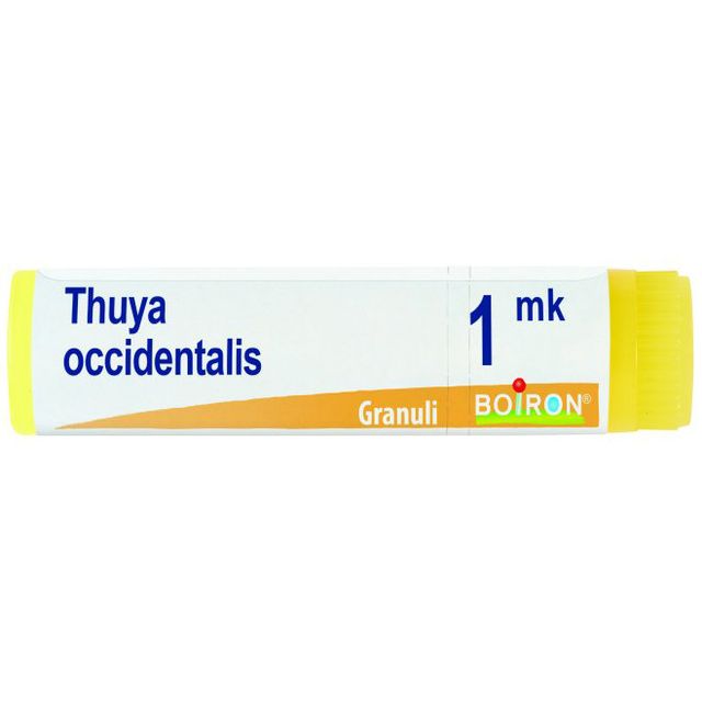 thuya-occidentalis-mk-globuli-1g