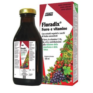 FLORADIX FERRO E VITAMINE 500 ML