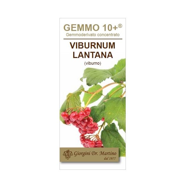 viburno-liquido-analcolico-gemmo-10-plus-100-ml