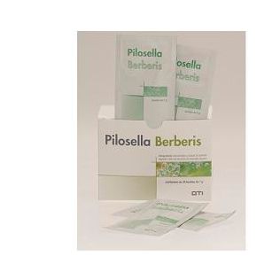 PILOSELLA-BERBERIS 30 BUSTINE