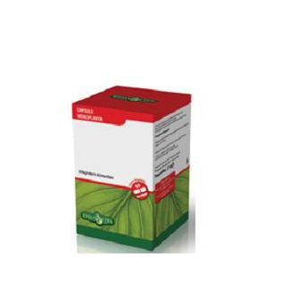 NONI 60 CAPSULE 500 MG