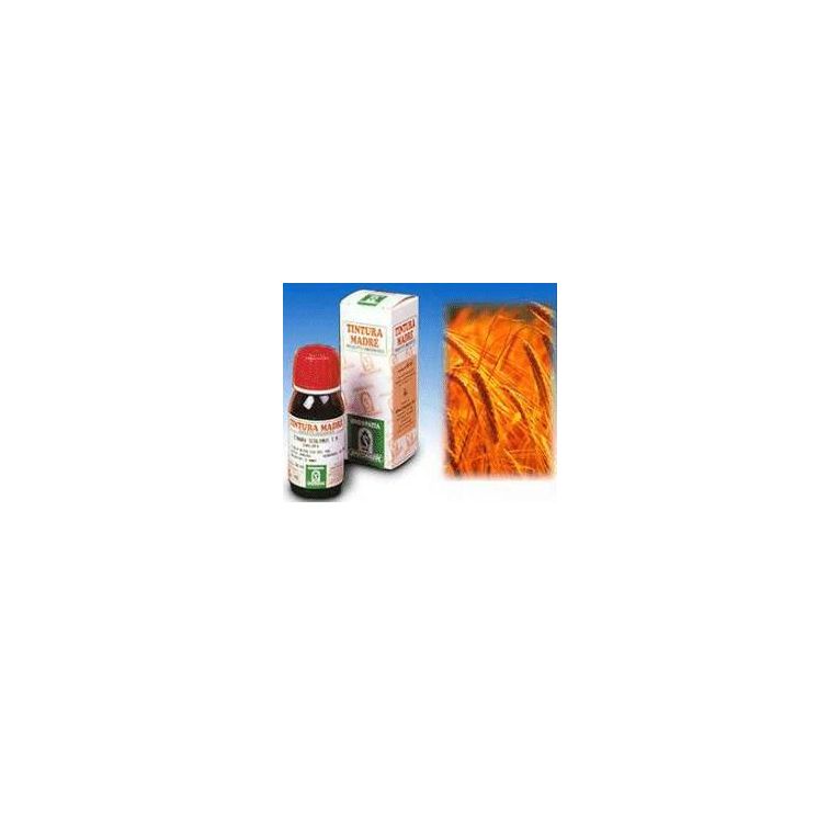 avena sativa 3 50ml tm