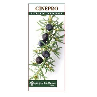 GINEPRO ESTRATTO INTEGRALE 200 ML