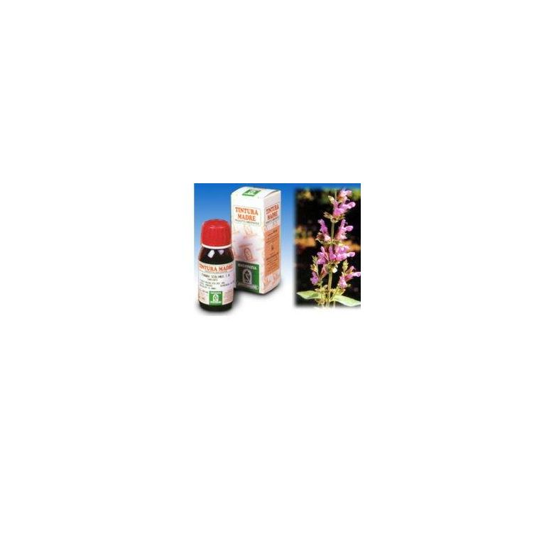 salvia 25 50ml tm