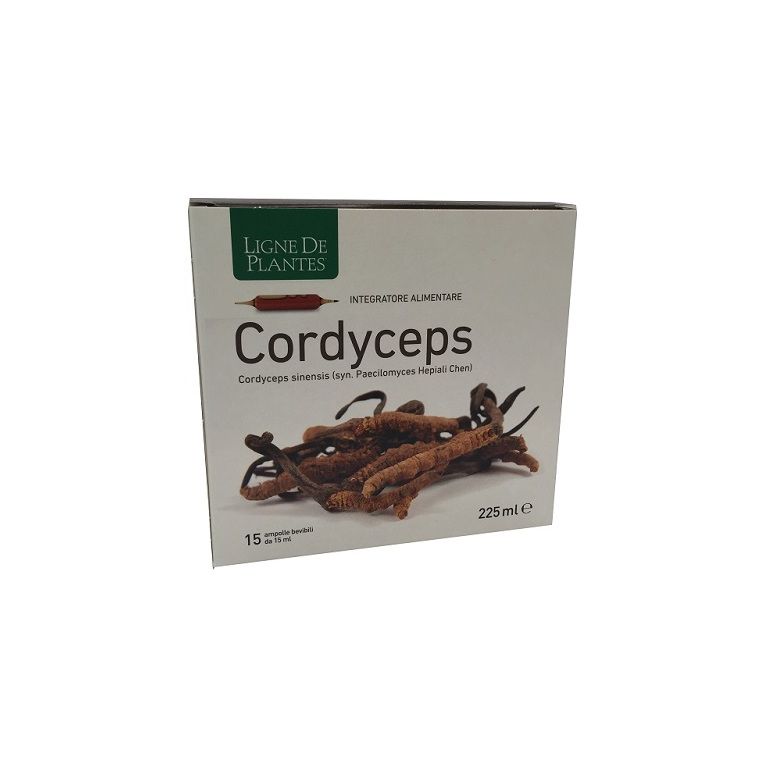 cordyceps 15 ampolle bevibili da 15 ml
