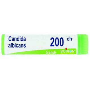 CANDIDA ALBICANS 200CH GLOBULI 1G