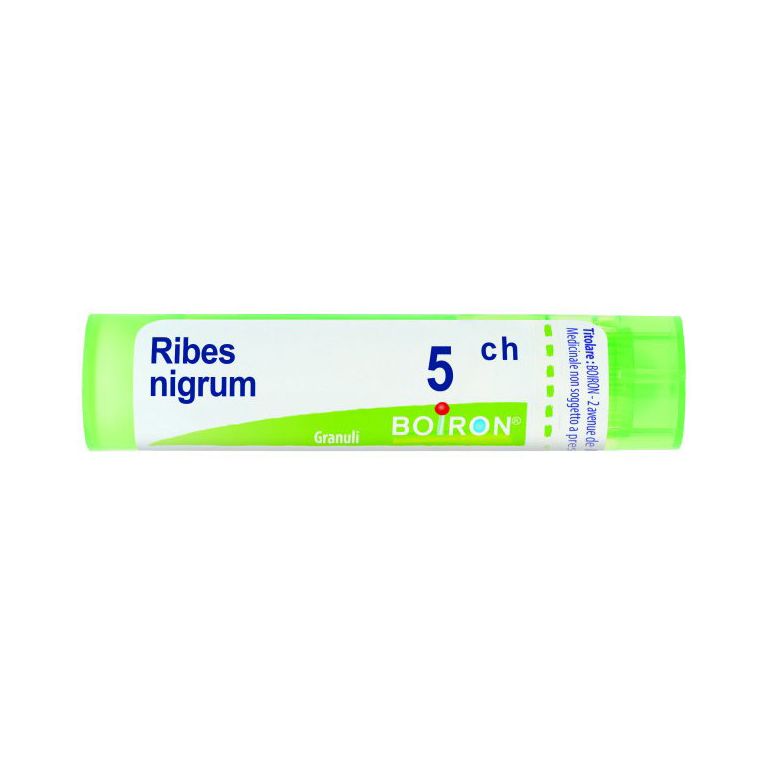 ribes nigrum 5ch granuli 4g