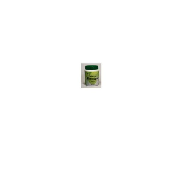 piantaggine-60-capsule