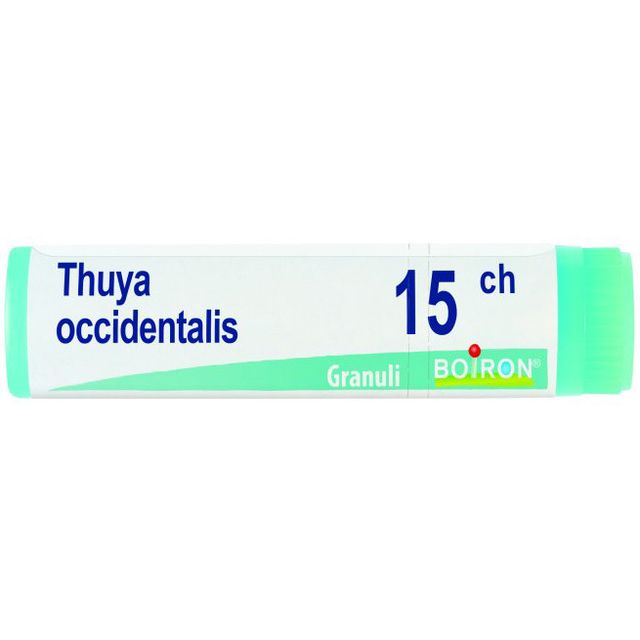 thuya-occidentalis-15-ch-globuli-1g