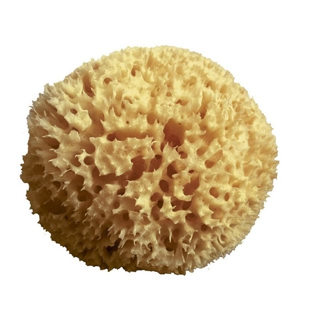 mood-spugna-mar-mediterraneo-arcipelago-grezza-11-slash-12cm