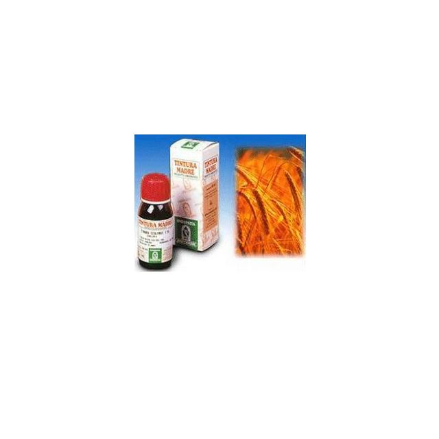 avena-sativa-3-50ml-tm