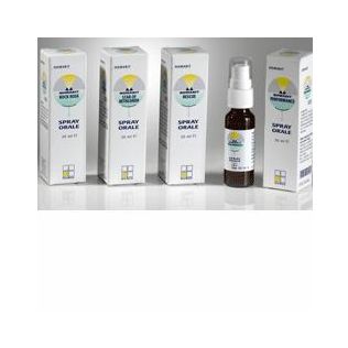 NOMABIT RESET 6 DOSI 6 G