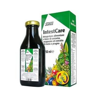 INTEST CARE 250 ML
