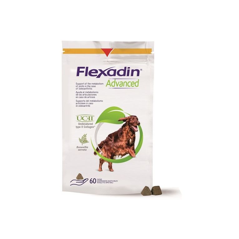 flexadin advanced cane tutte le taglie 60 tavolette appetibili