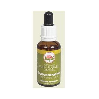 CONCENTRATION AUSTRALIAN 30 ML