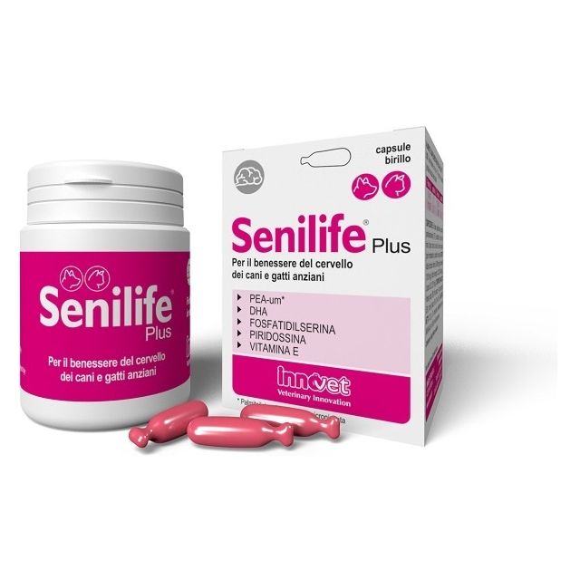 senilife-plus-30-capsule
