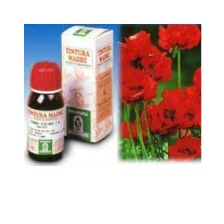 PAPAVERO CALIFORNIA 13 50ML TM