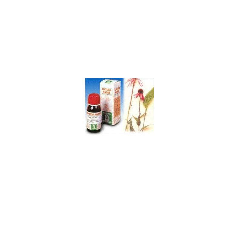 echinacea 59 50ml tm