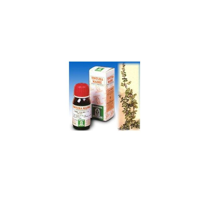 uva-ursina-30-50ml-tm