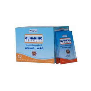 GUNAMINOFORMULA 42 BUSTINE 273 G