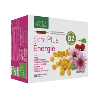 ECHI PLUS ENERGIE 10 AMPOLLE DA 10 ML