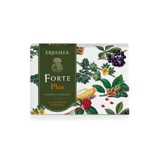 FORTE PLUS 14FLUIDO MONOD 10 ML