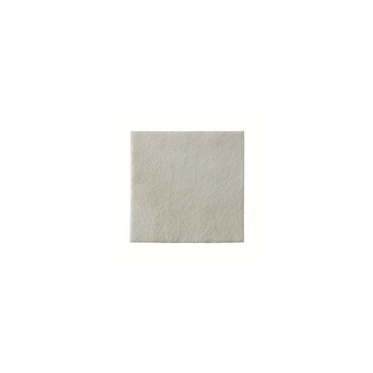 medicazione biatain alginate ag alginato con argento 10x10cm10 pezzi