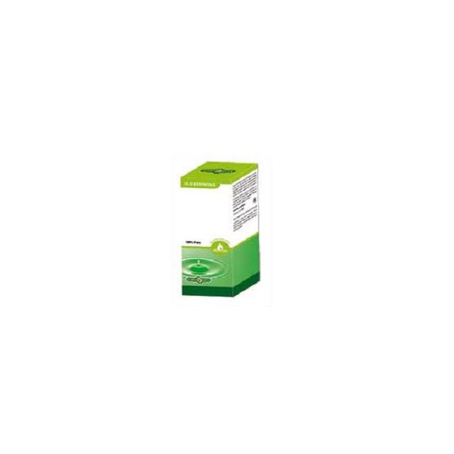 pino-mugo-olio-essenziale-10-ml-7bdcba