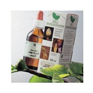 BETULLA MACERATO GLICERICO 100 ML