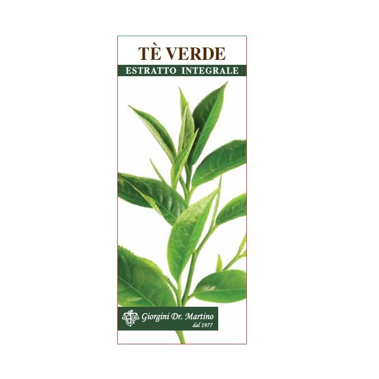 te verde estratto integrale 200 ml
