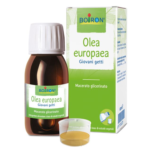 olea-europaea-boiron-macerato-glicerico-60-ml