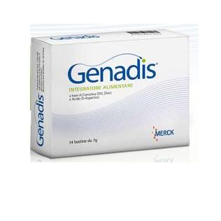 GENADIS 14 BUSTINE