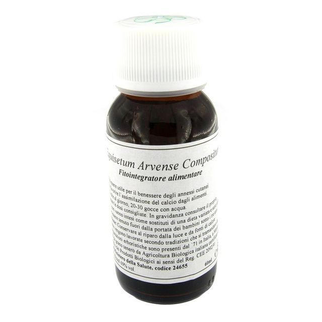 lvs-41n-equisetum-arvense-compositum