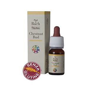 CHESTNUT BUD GOCCE 10 ML