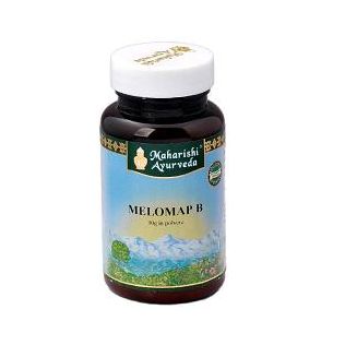 MELOMAP B POLVERE 30 G