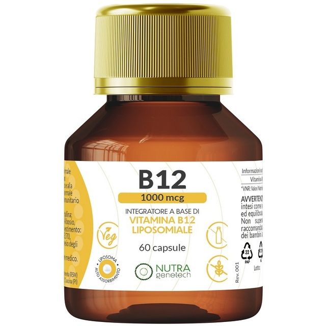 vitamina-b12-1000-mcg-60-capsule
